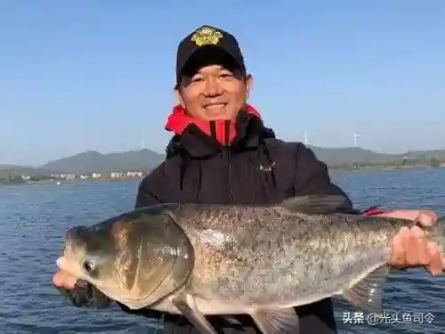 王者之战战队阵容搭配推荐(名将令王者之战阵容十10)插图1