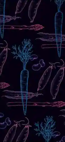 好看手机壁纸图片(壁纸app排行榜前十名)插图12