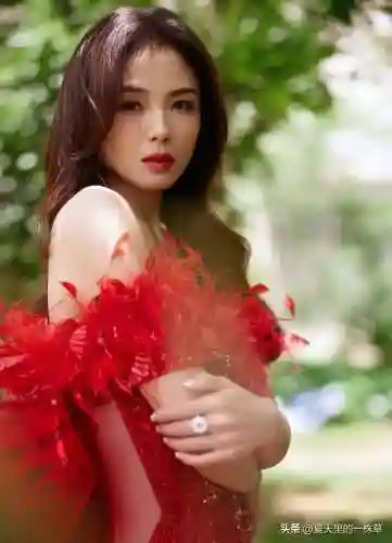 凤凰烈焰阵容搭配图最新(斗罗大陆火凤凰阵容搭配)插图8
