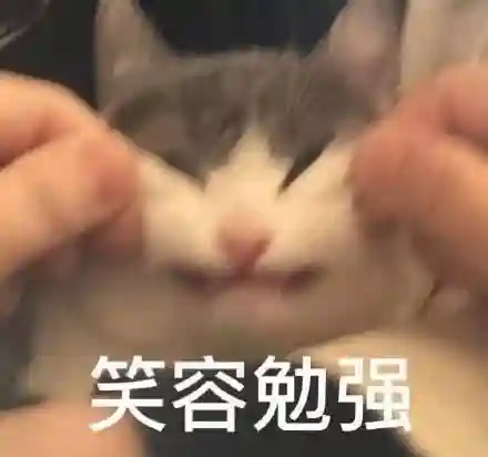斗图表情包(小黑子专用表情包)插图10