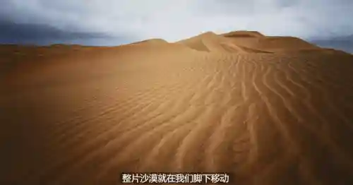 全民超人打野阵容最新搭配(全民超神全部英雄大全)插图22