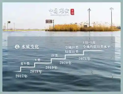 猫之城菡萏曲阵容搭配(云上城之歌助阵宠物)插图6