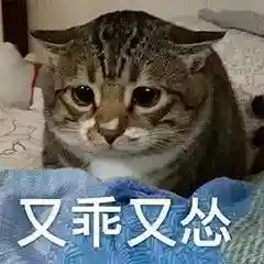 网上特别火的那个猫表情包(猫咪摇头表情包动图)