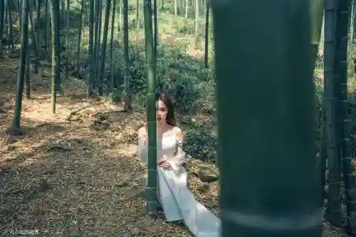 碧空战纪关羽阵容搭配(霸王雄心后期最强阵容搭配)插图27
