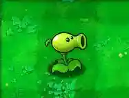 植物大战僵尸最老经典版(最老版植物大战僵尸)插图37