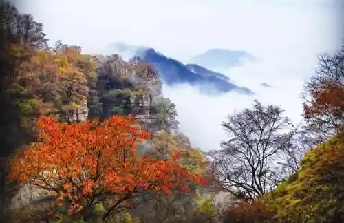 卡房精灵平明阵容怎么搭配(最强平民宝可梦阵容)插图2
