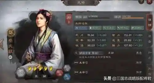 打蔡文姬的阵容搭配图(蔡文姬和谁搭配阵容最适合)