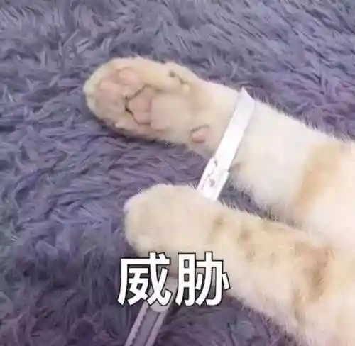 斗图表情包(小黑子专用表情包)插图15