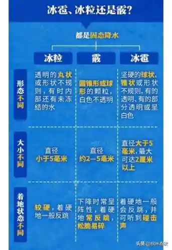 天斗大雪阵容搭配攻略(海边小斗大雪好看视频)插图9