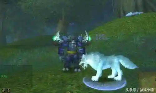 魔兽世界猎人灵魂兽宝宝大全(wow灵魂兽大全13只)插图7