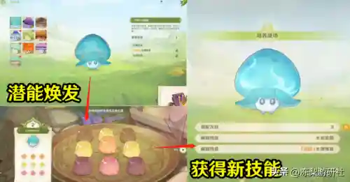 原神最强驯兽阵容搭配(原神十大平民最强阵容)插图5