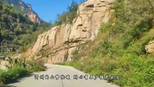 克制猫虎的阵容搭配(虎阵被什么阵法克制)