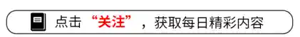 陆毅最佳阵容搭配(陆逊袁绍最强搭配)