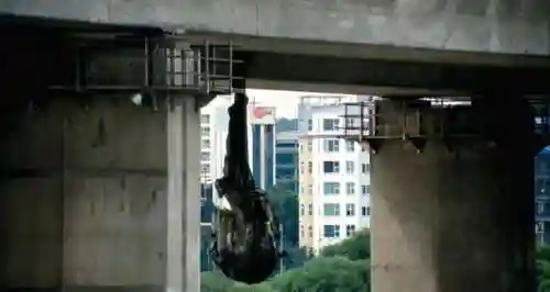 怪兽出没最强阵容搭配图片(天天数码兽最强阵容推荐)插图11
