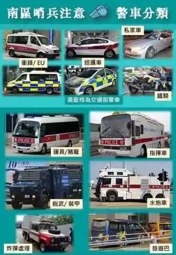 洛克王国海豹旗手进化(洛克王国小风鹰进化)