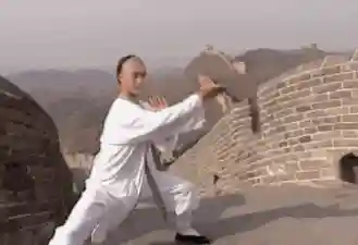 武林小子最佳搭配阵容推荐(少侠江湖志最强阵容)插图20