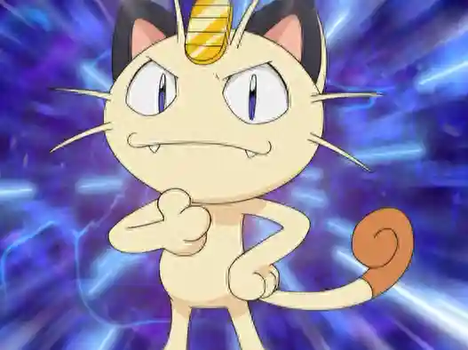五尾打猫阵容搭配(泳装井野打猫阵容)