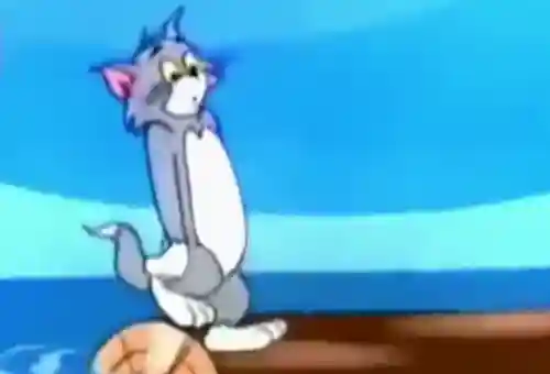 我的汤姆猫老版本(我的汤姆猫原版免费下载)插图5
