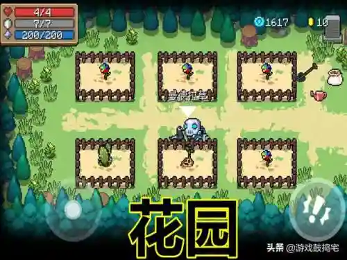 元气骑士4大必种植物(元气骑士种子图鉴大全2019)