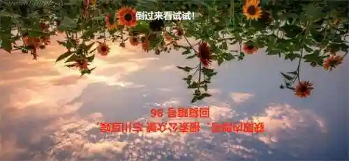 神仙道60级阵容搭配(神仙道中后期伙伴搭配)插图2