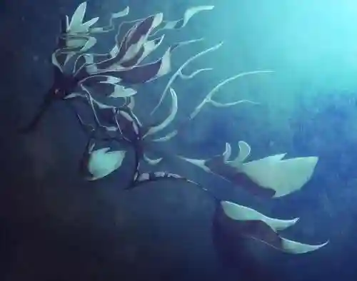 天星队队长阵容搭配(晴天队最强阵容)插图2