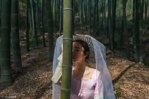 碧空战纪关羽阵容搭配(霸王雄心后期最强阵容搭配)插图22