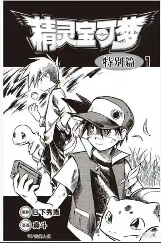 宠物小精灵特别篇(神奇宝贝特别篇漫画)