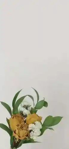 高清屏保图片(4k超高清壁纸图片手机)插图19 高清屏保图片(4k超高清壁纸图片手机)插图19
