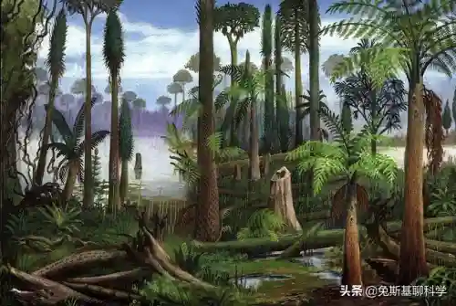 加拉帕格斯巨人蜈蚣(蜈蚣对男性的作用与疗效)插图1