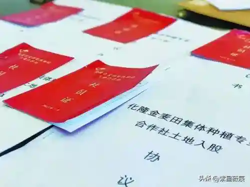 中国黑枪最多的地方(最狠的防身武器)插图11