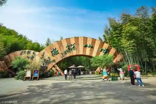 碧空战纪关羽阵容搭配(霸王雄心后期最强阵容搭配)插图6
