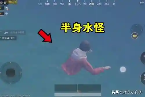金龙至尊阵容搭配图片最新(金龙鱼混养最佳搭配)插图3