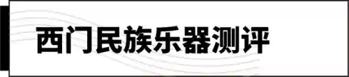 十大最难学的乐器(什么乐器可以参加艺考)插图6
