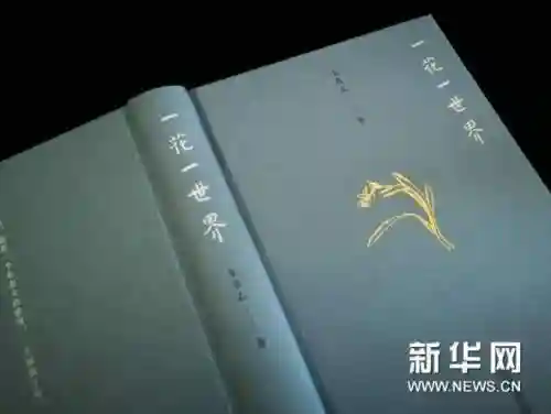 首无源博雅阵容搭配(圣地争锋4套阵容推荐)插图1