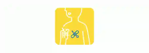 炫舞阿尼亚搭配阵容图鉴(qq炫舞最新宠物图鉴)