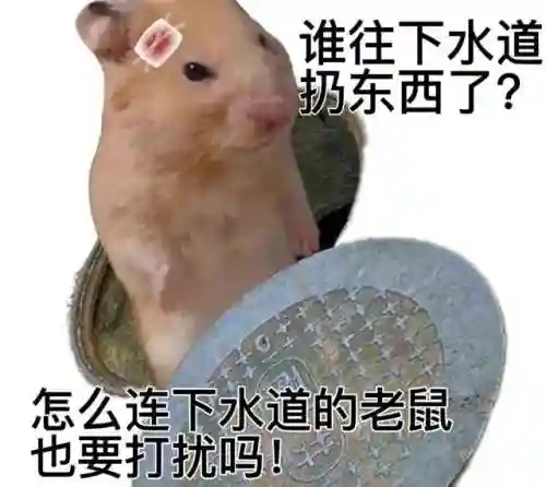 搞笑动态表情包(搞笑GIF图片)插图4