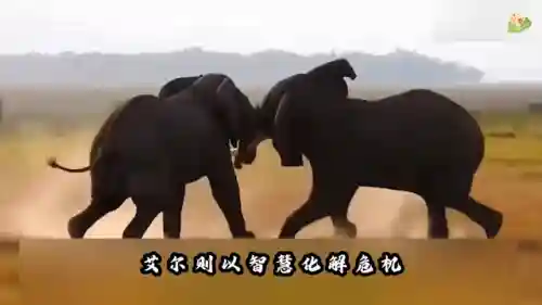 王者对决老虎阵容搭配图(王者阵容搭配需要注意什么)插图3