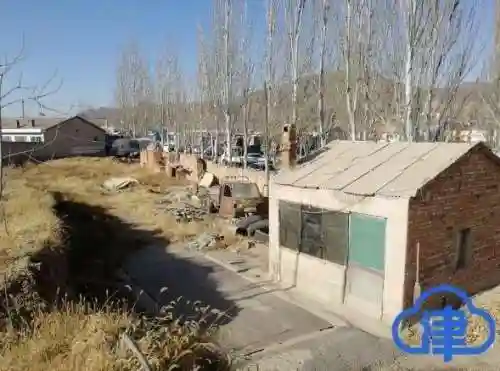 金铲车龙系列阵容搭配(聚峰龙20铲车怎么样)插图2