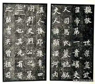龙神法师阵容装备搭配攻略(长安幻想龙宫灵师阵容怎么搭配)插图11 龙神法师阵容装备搭配攻略(长安幻想龙宫灵师阵容怎么搭配)插图11