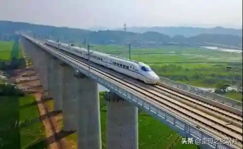 d开头代表什么(D开头的英语)