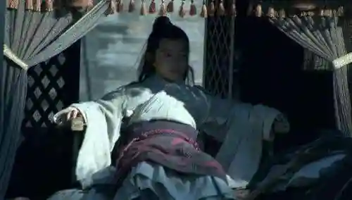 曹冲为什么只活了13岁(曹冲活了多少岁)插图1