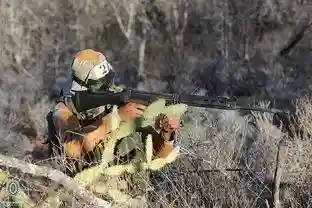 佣兵阵线最强搭配阵容(佣兵战纪平民刷图t0阵容)插图3