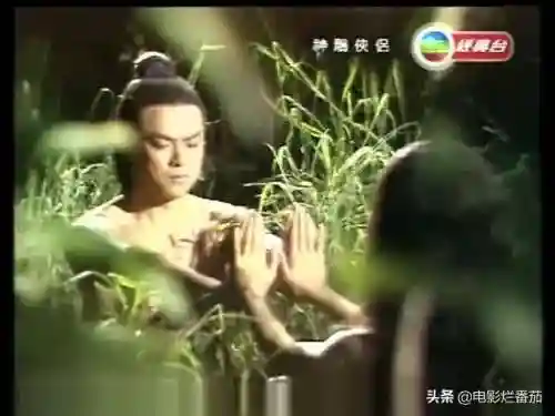 古天乐版神雕侠侣(刘奕菲神雕侠侣图片)插图4