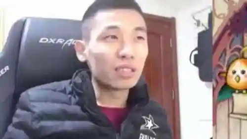 斗鱼比赛宝哥阵容搭配表(平民比斗宝宝怎么搭配)