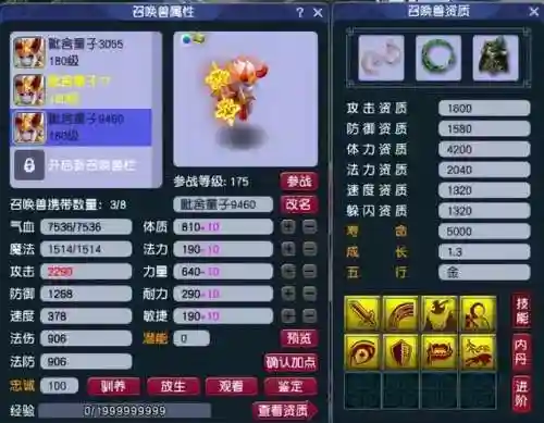 功夫宠物推荐阵容搭配攻略(动物之战最强阵容搭配攻略)插图2