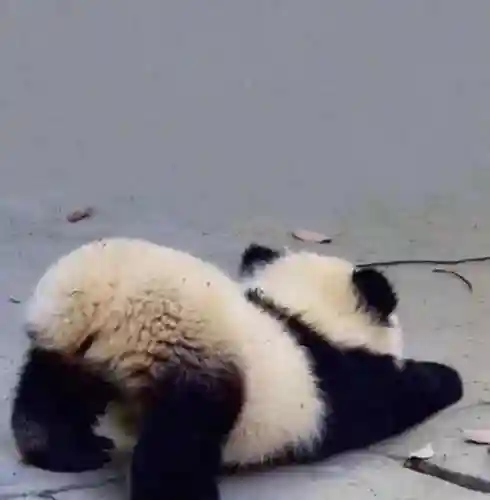 100张好看不常见的头像(好看头像)插图99