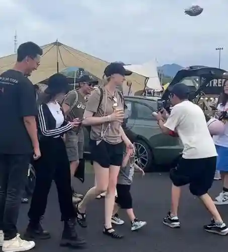豪华露营阵容搭配推荐最新(密林纷争最强阵容搭配)插图5