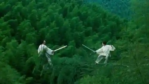 武林小子最佳搭配阵容推荐(少侠江湖志最强阵容)插图39