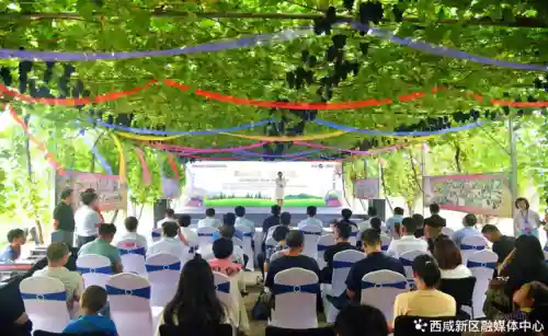 盛世芳华0氪阵容搭配2023(盛世芳华后期最强阵容)