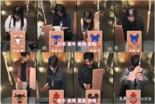 卡罗牌占卜阵容怎么搭配(塔罗牌基本阵型)插图4